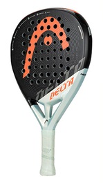    Head Delta Pro
